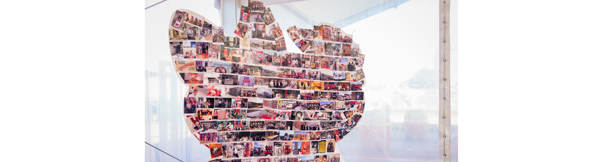 Discover Boehli’s CSR commitments