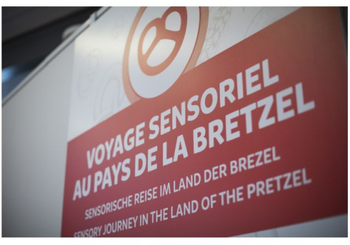 Exposition 2025 : Voyage sensoriel au pays de la bretzel